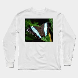 Blue Striped Butterfly Long Sleeve T-Shirt